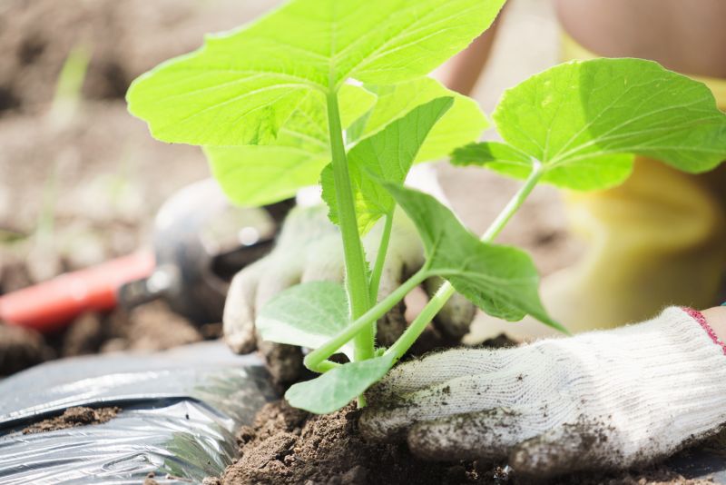 Coi trọng thiên nhiên